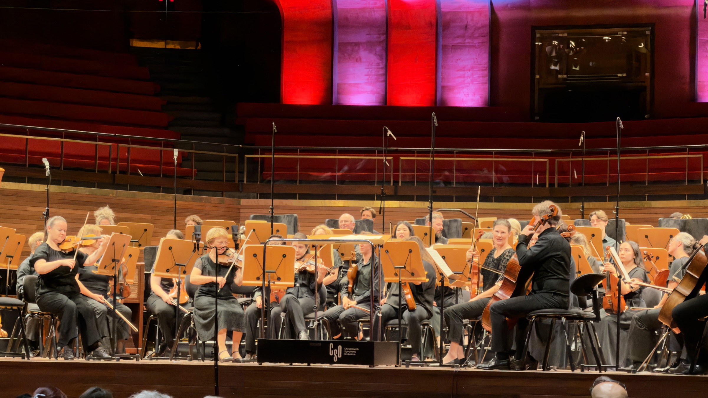 Orchestra performance